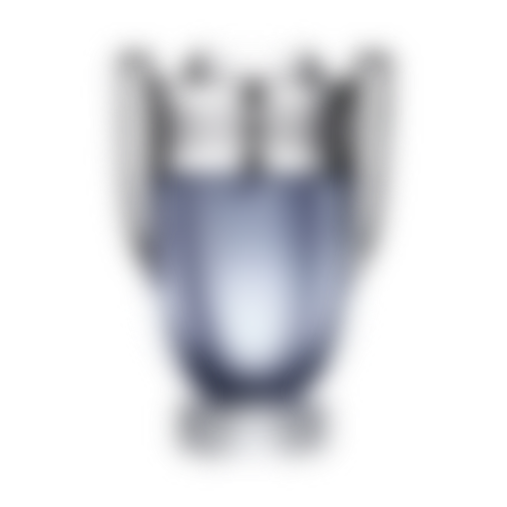 Invictus Eau de Toilette for Men (sku 745)