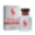 Polo Red Rush Eau de Toilette for Men (sku 631)