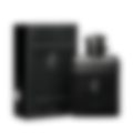 Ralph's Club Parfum for Men (sku 895)