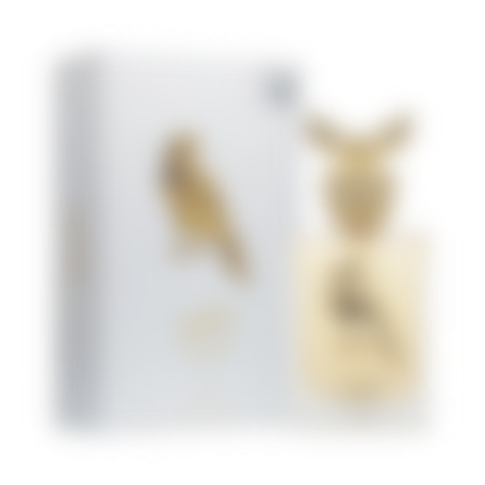 Shaheen Gold Eau de Parfum Unisex (sku 837)