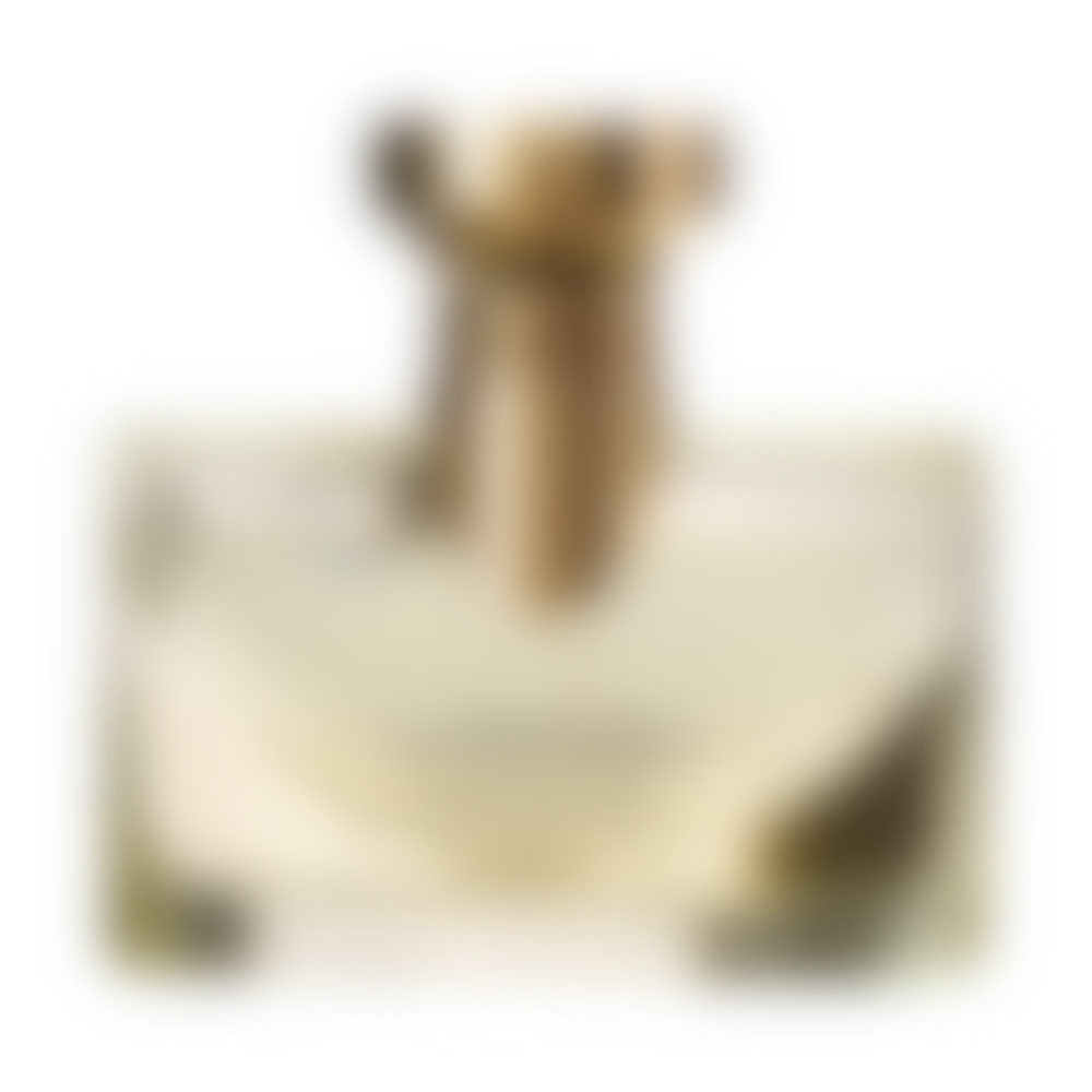 Splendida Iris d'Or Eau de Parfum for Women (sku 209)