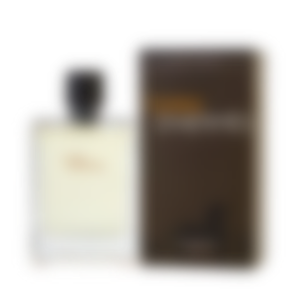 Terre d’ Eau de Toilette for Men (sku 572)