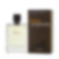 Terre d’ Eau de Toilette for Men (sku 572)