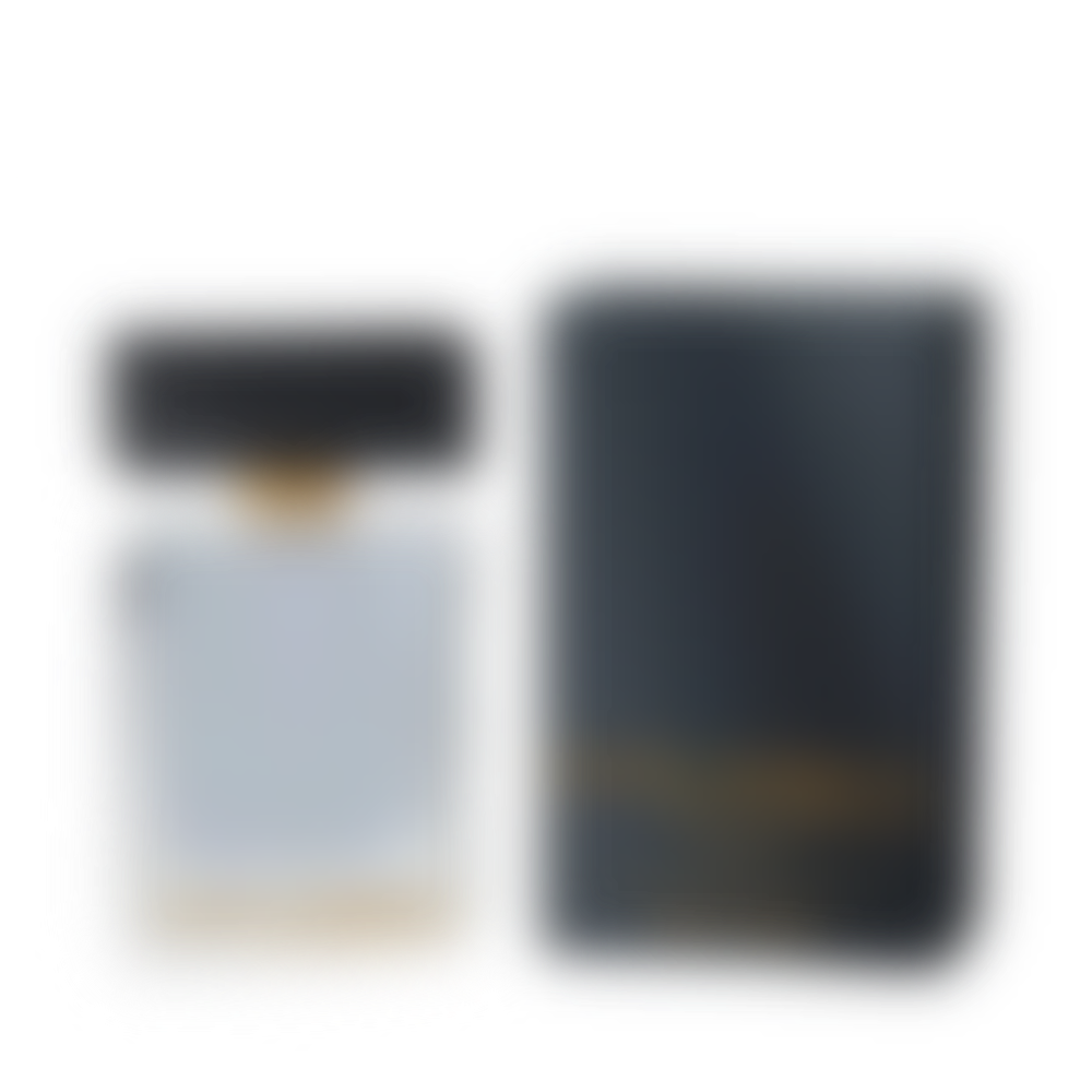 The One Gentleman Eau de Toilette for Men (sku 283)