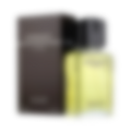 L'Homme Eau de Toilette for Men (sku 453)